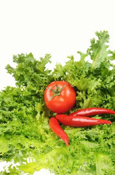 Salade verte et tomate et poivron rouge sur fond blanc — Photo