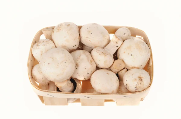 Mushrooms in the basket isolated on the white background — Stock Photo, Image