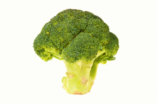 Broccoli isolated on white — Stock Photo, Image