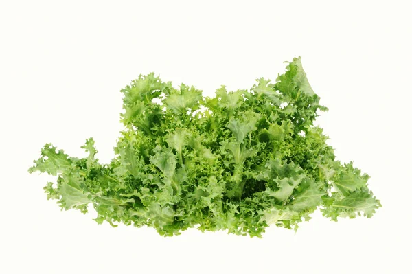 Salade verte isolée sur fond blanc — Photo