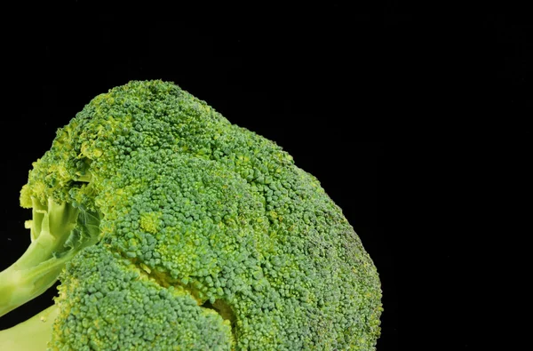 Broccoli isolated on black background — Stock Photo, Image