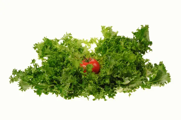 Grüner Salat und Tomaten isoliert auf weißem Hintergrund — Stockfoto