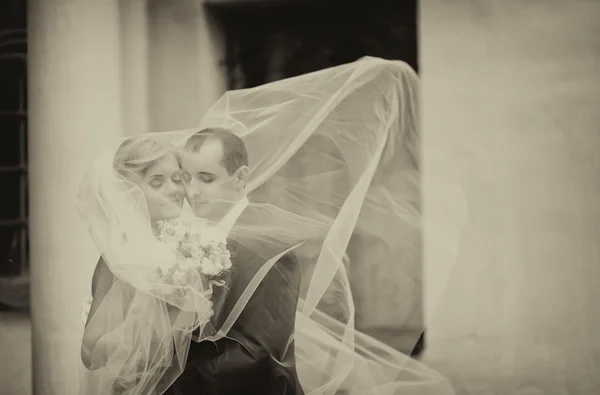 Happy bride and groom on their wedding — Stock Photo, Image