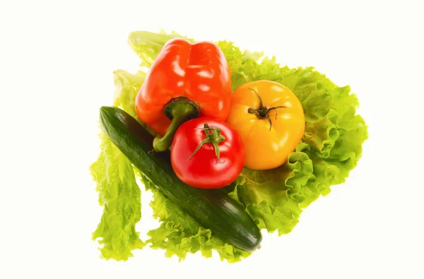 Grüner Salat und Tomaten isoliert auf weißem Hintergrund — Stockfoto