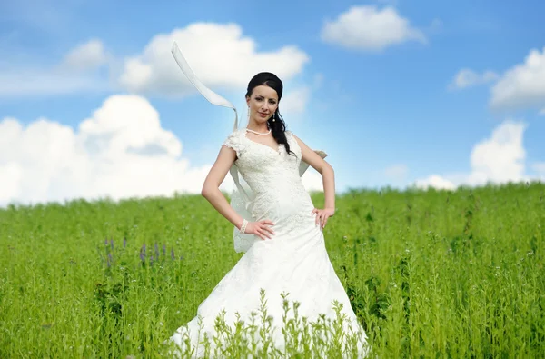 Young attractive bride outdoor Stock Picture