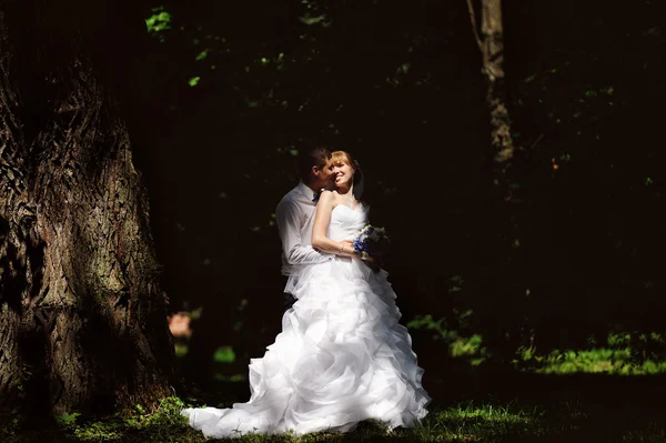 Feliz novia y novio en su boda — Foto de Stock