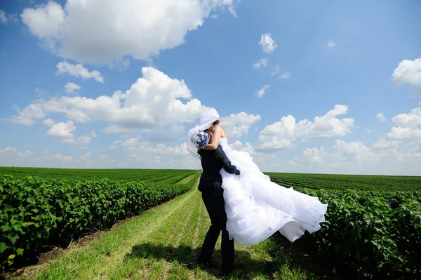 Šťastná nevěsta a ženich na jejich svatbě — Stock fotografie