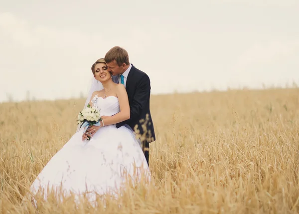 Happy bride and groom on their wedding — Stock Photo, Image