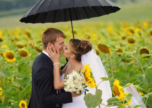 Glückliche Braut und Bräutigam zur Hochzeit — Stockfoto