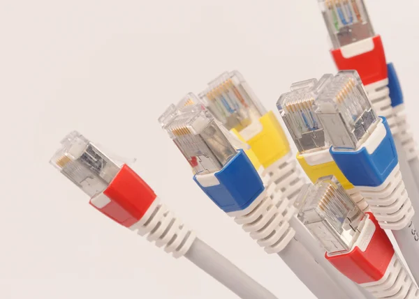 Computer network cables over grey background — Stock Photo, Image