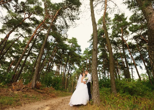 幸せな花嫁と新郎の結婚式で — ストック写真