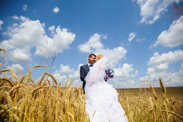 Happy bride and groom on their wedding — Stock Photo, Image