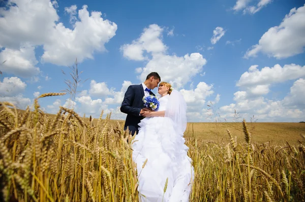 Šťastná nevěsta a ženich na jejich svatbě — Stock fotografie