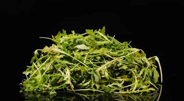 Roka (salata) siyah arka plan üzerine