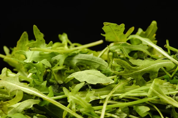 Rucola (Salat) auf schwarzem Hintergrund — Stockfoto