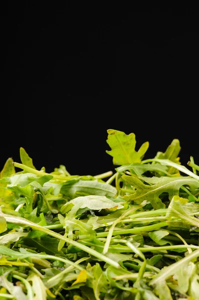 Arugula (salad) pada latar belakang hitam — Stok Foto