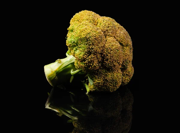 Broccoli  on black background — Stock Photo, Image