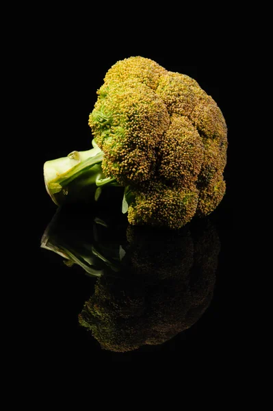 Broccoli  on black background — Stock Photo, Image