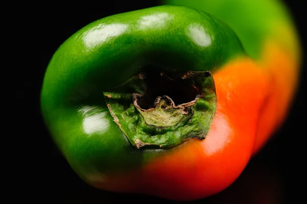 Grüne Paprika auf schwarzem Hintergrund — Stockfoto