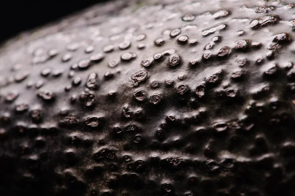 Siyah arka plan üzerinde avokado — Stok fotoğraf