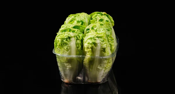 Salad hijau segar — Stok Foto