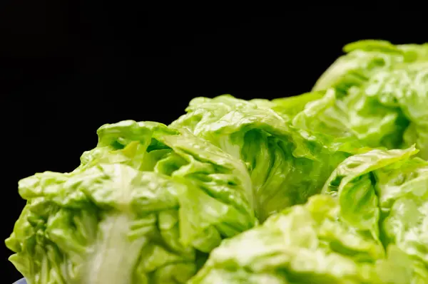 Salad hijau segar di latar belakang hitam — Stok Foto