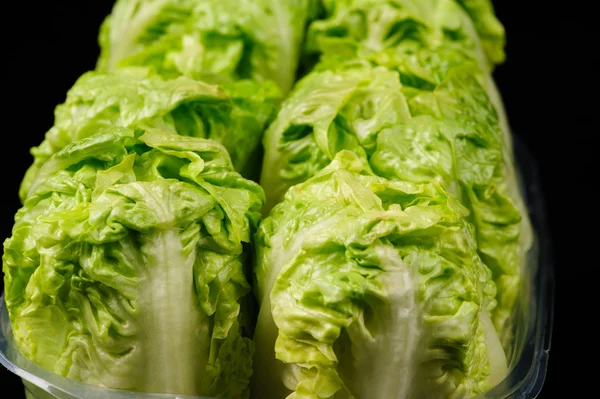 Salade verte fraîche vue rapprochée — Photo