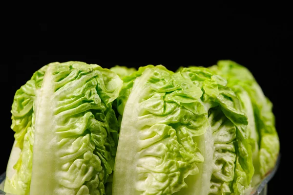 Close-up van frisse groene salade — Stockfoto