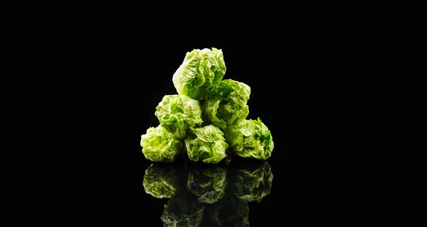 Fresh green salad on the black background — Stock Photo, Image