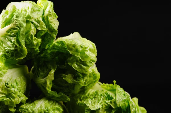 Frisse groene salade op de zwarte achtergrond — Stockfoto