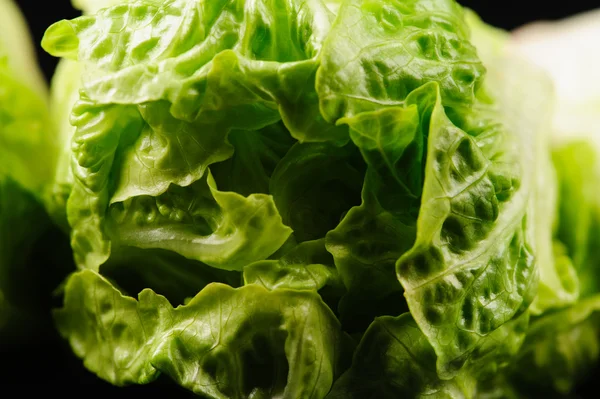 Frisse groene salade op de zwarte achtergrond — Stockfoto