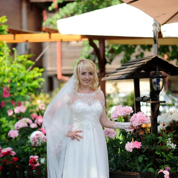 Bellissimo ritratto della sposa all'aperto — Foto Stock