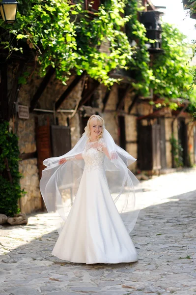 Schönes Porträt der Braut im Freien — Stockfoto