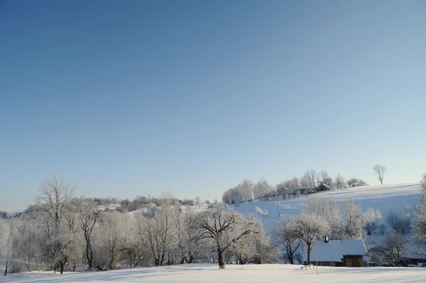 Kar ve mavi gökyüzü ile kış manzarası — Stok fotoğraf