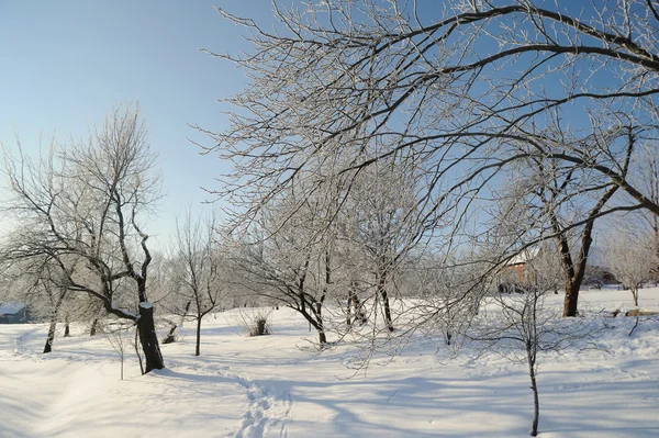 Paysage hivernal avec neige et ciel bleu — Photo