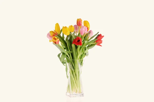 Tulpen im Atelier — Stockfoto