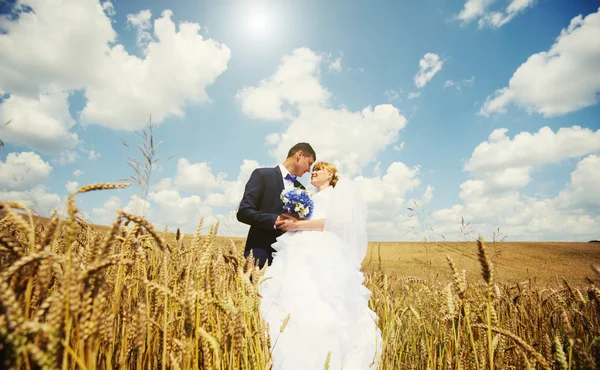 Happy bride and groom on their wedding Stock Picture