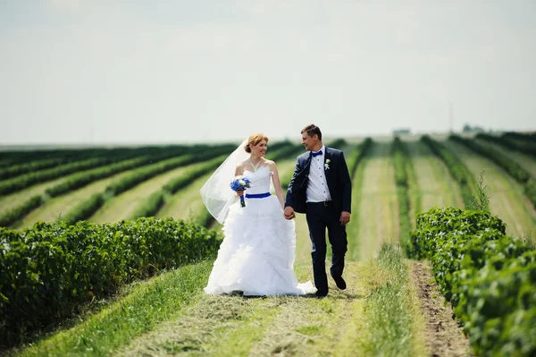 Happy bride and groom on their wedding — Stock Photo, Image