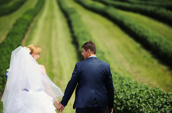 Glückliche Braut und Bräutigam zur Hochzeit — Stockfoto