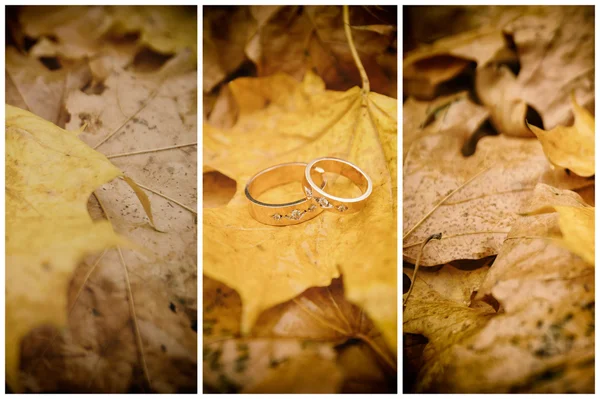 Anel de casamento nas folhas amarelas caídas — Fotografia de Stock