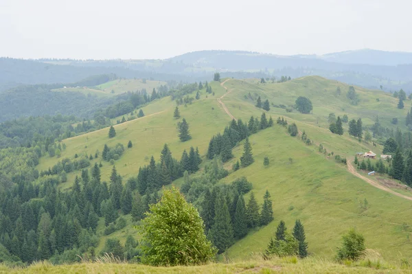 Sommerlandschaft in den Bergen und der dunkelblaue Himmel mit Wolken — Stockfoto