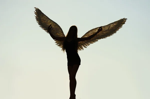 Ángel con alas en el cielo —  Fotos de Stock
