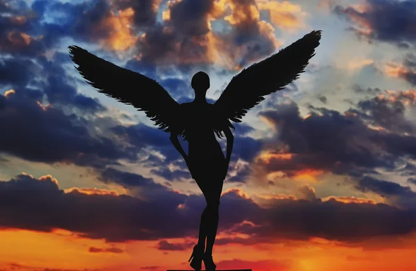 空で翼を持つ天使 — ストック写真