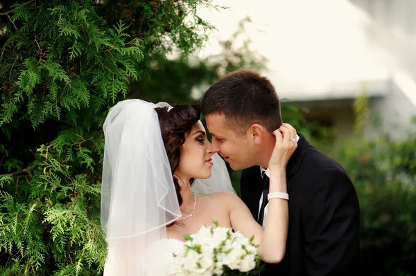 Glückliche Braut und Bräutigam zur Hochzeit — Stockfoto