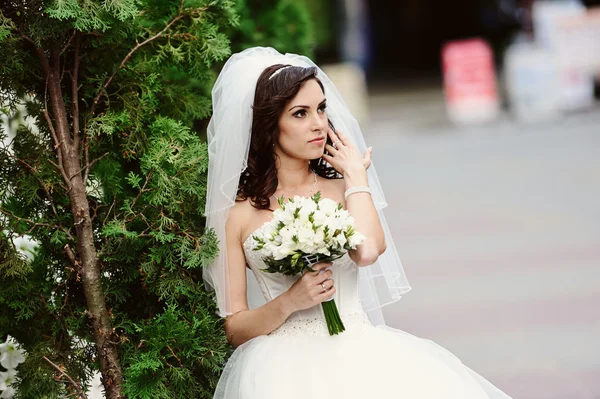 Giovane sposa — Foto Stock