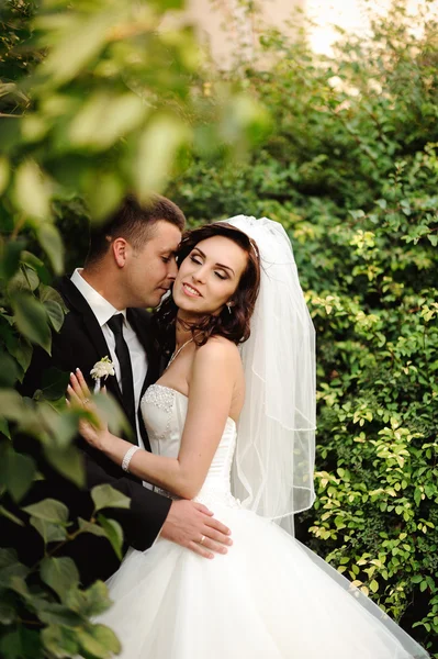 Noiva feliz e noivo em seu casamento — Fotografia de Stock