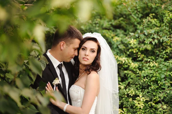 Glückliche Braut und Bräutigam zur Hochzeit — Stockfoto