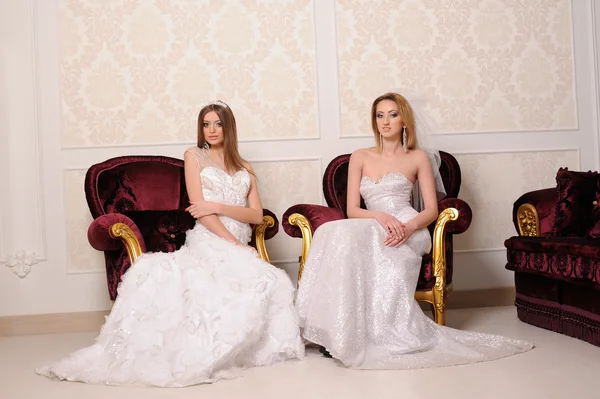 Portrét krásné dvě nevěsty — Stock fotografie