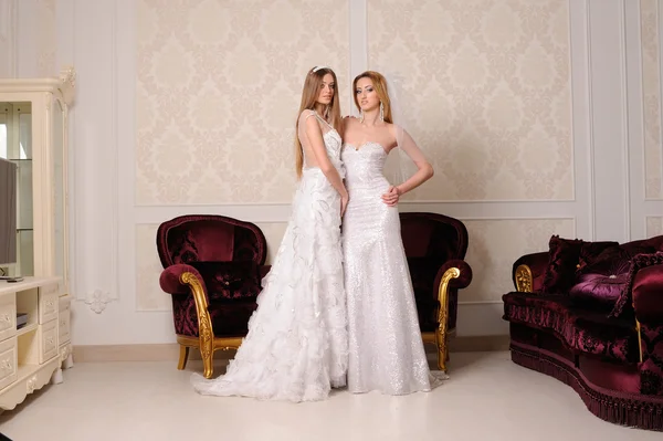 Gyönyörű két menyasszony portréja — Stock Fotó