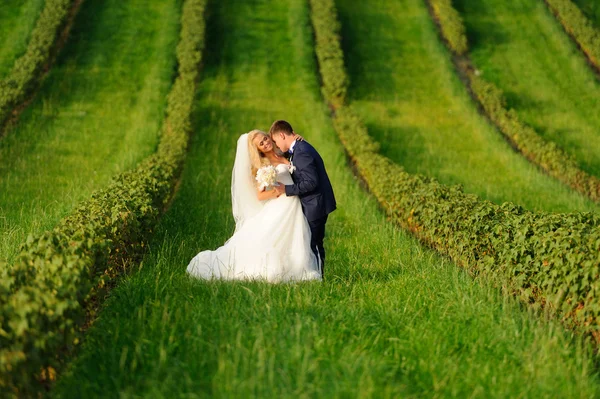 Happy bride and groom on green plant — Stock Photo, Image